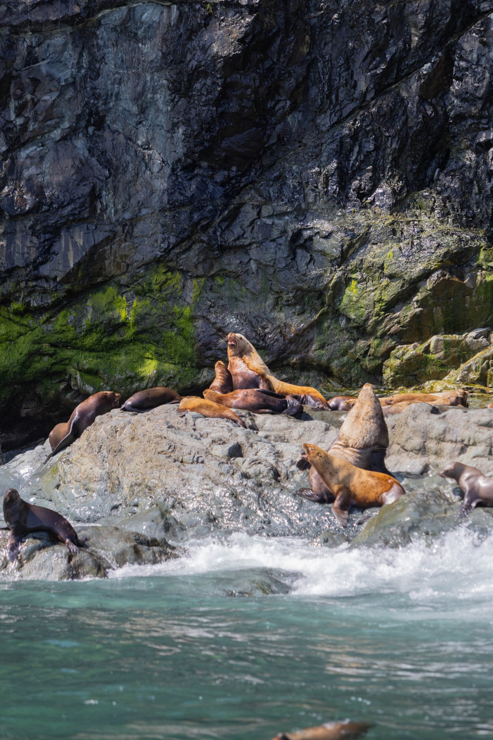 Reizen naar de regio's van Alaska