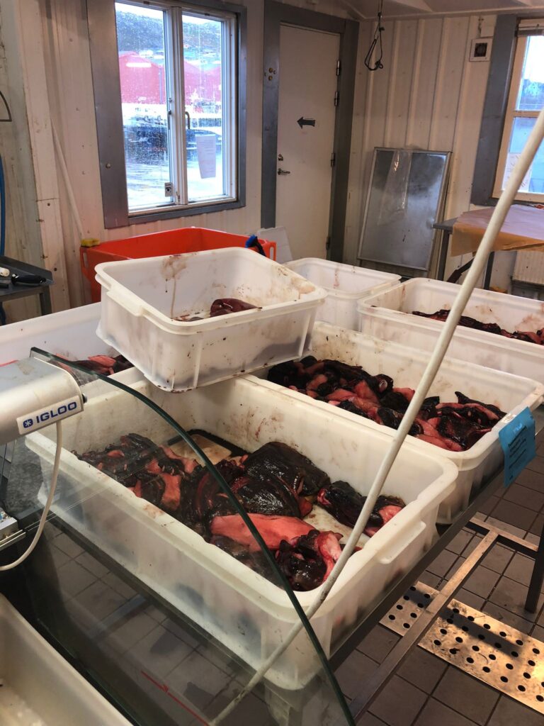 Groenland vismarkt