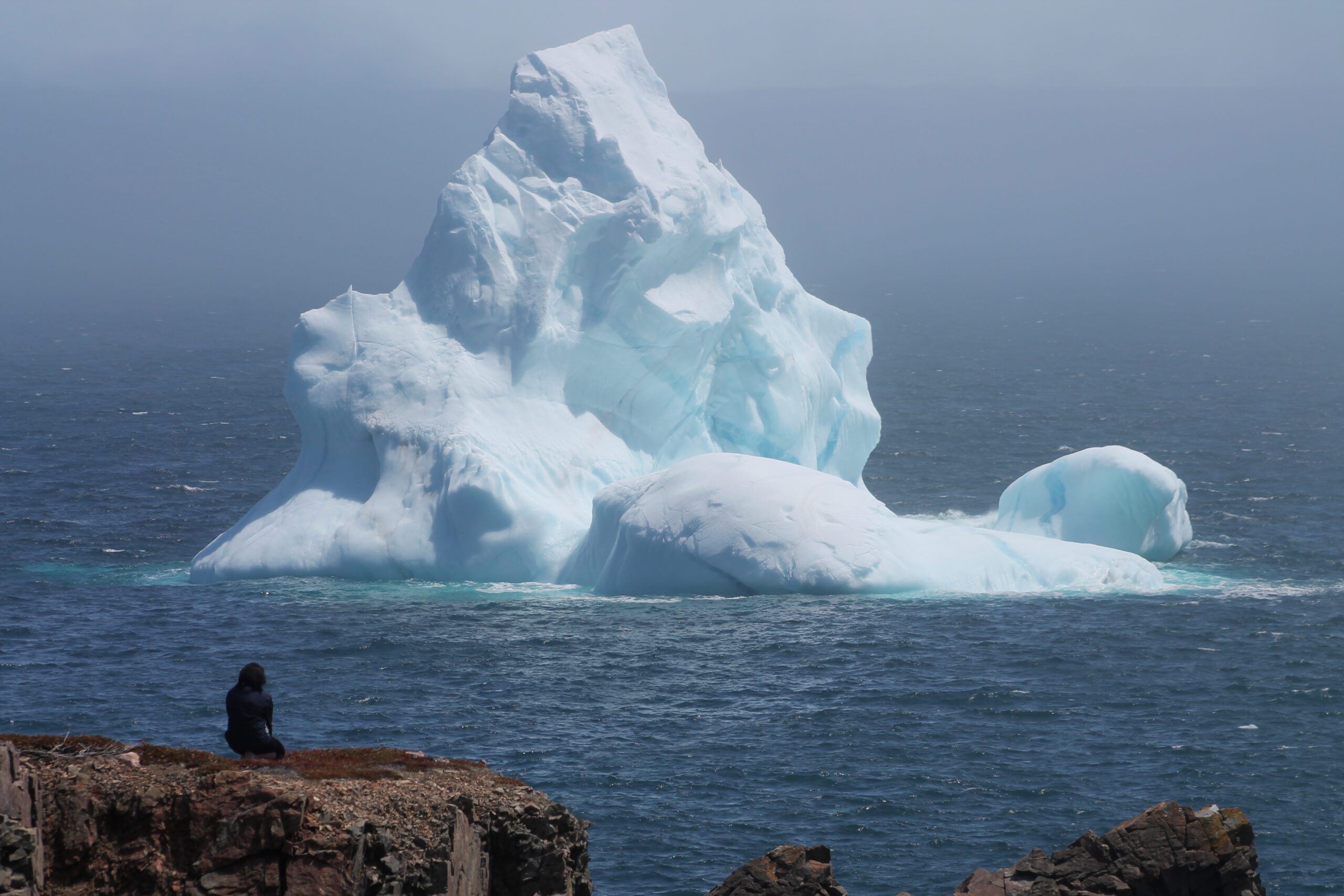 Een vrouw die kijkt naar een reusachtige ijsberg in Iceberg Alley