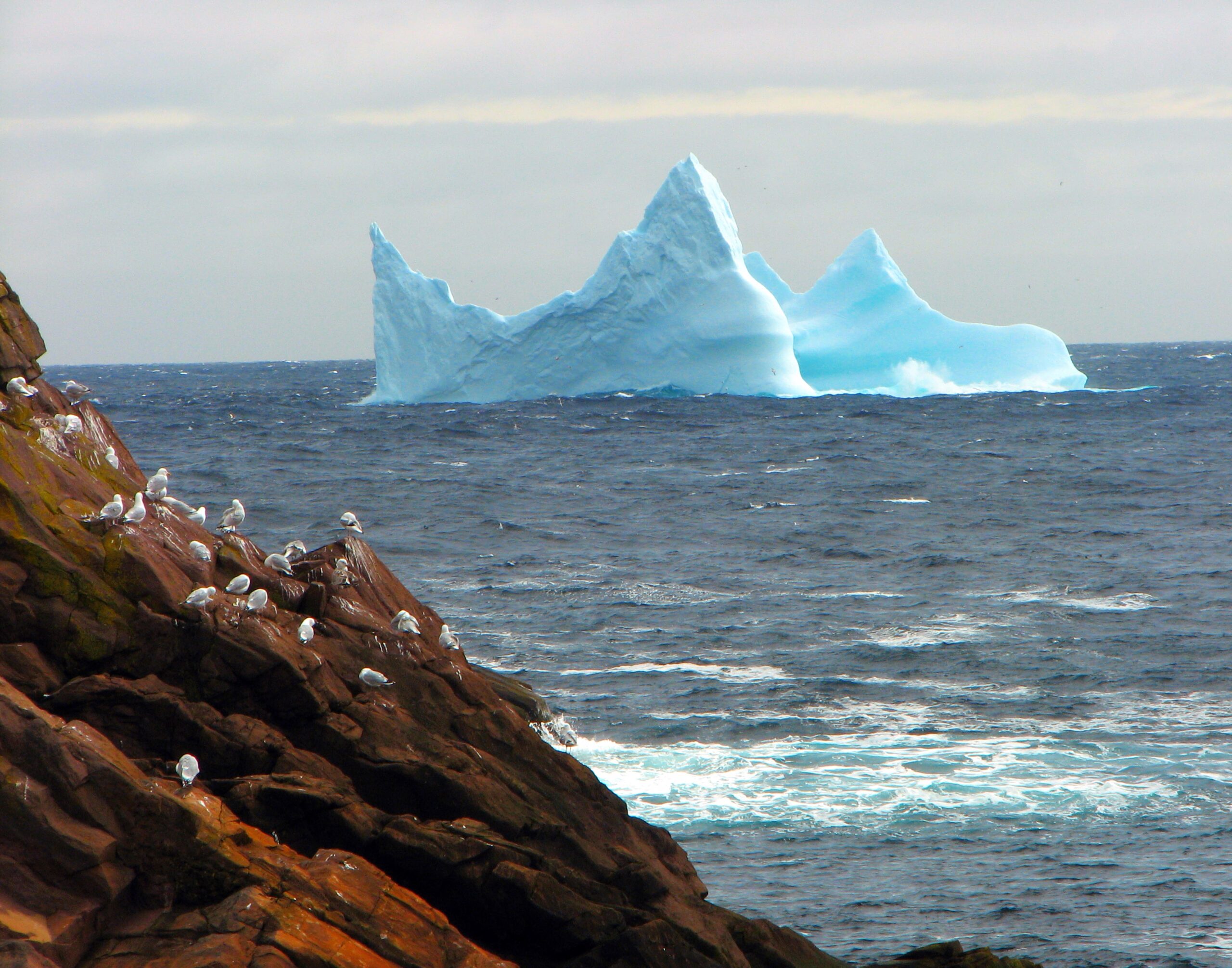 Newfoundland