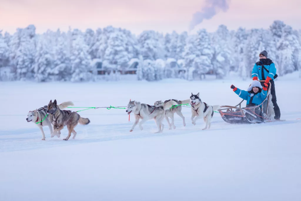aanbod winters Lapland