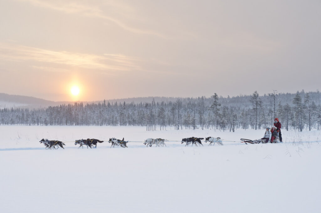 Reizen naar Lapland in de winter huskytocht