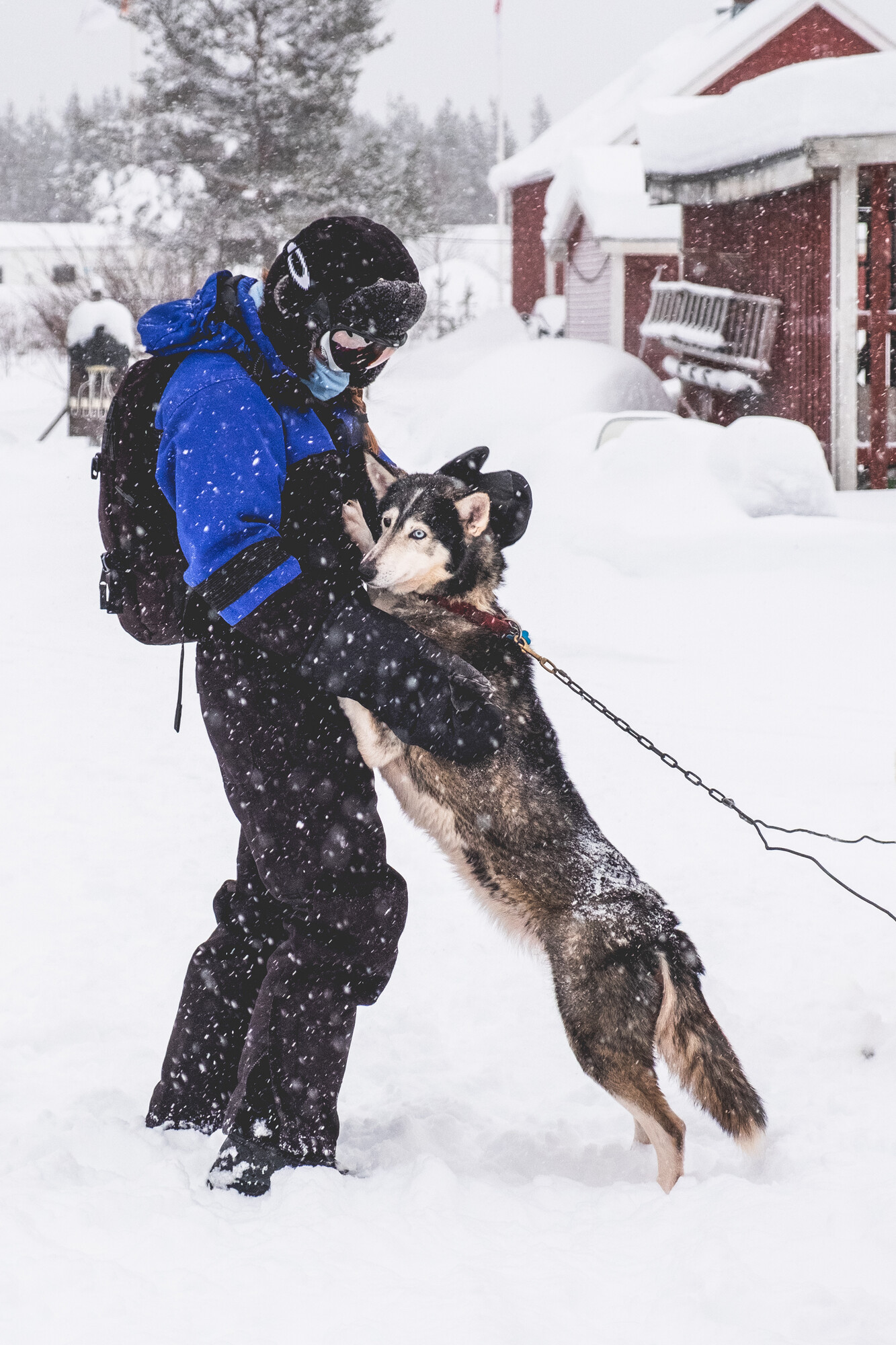 Meerdaagse tochten in Lapland