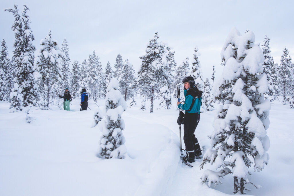 Sneeuwschoenwandelingen reizen naar Lapland in de winter