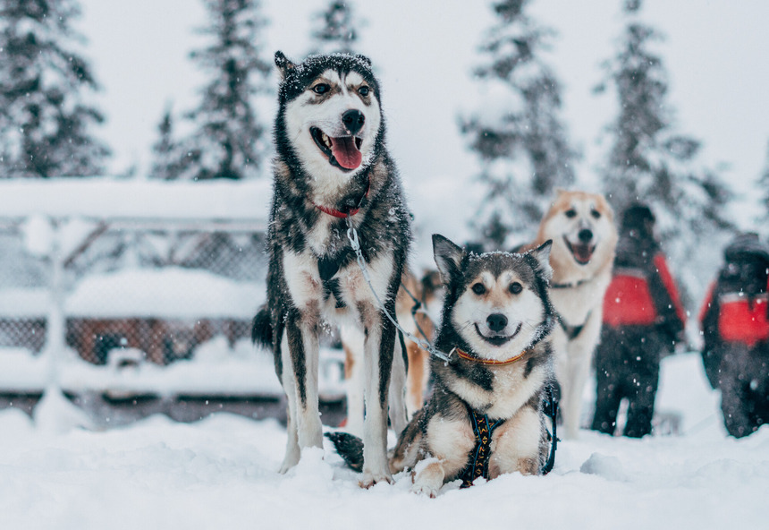 Bewust Reizen naar Lapland in de winter