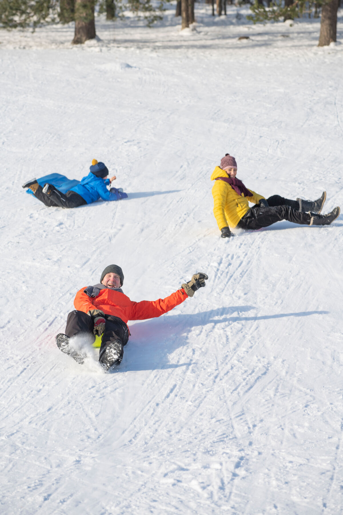 Lapland tijdens de schoolvakanties slee