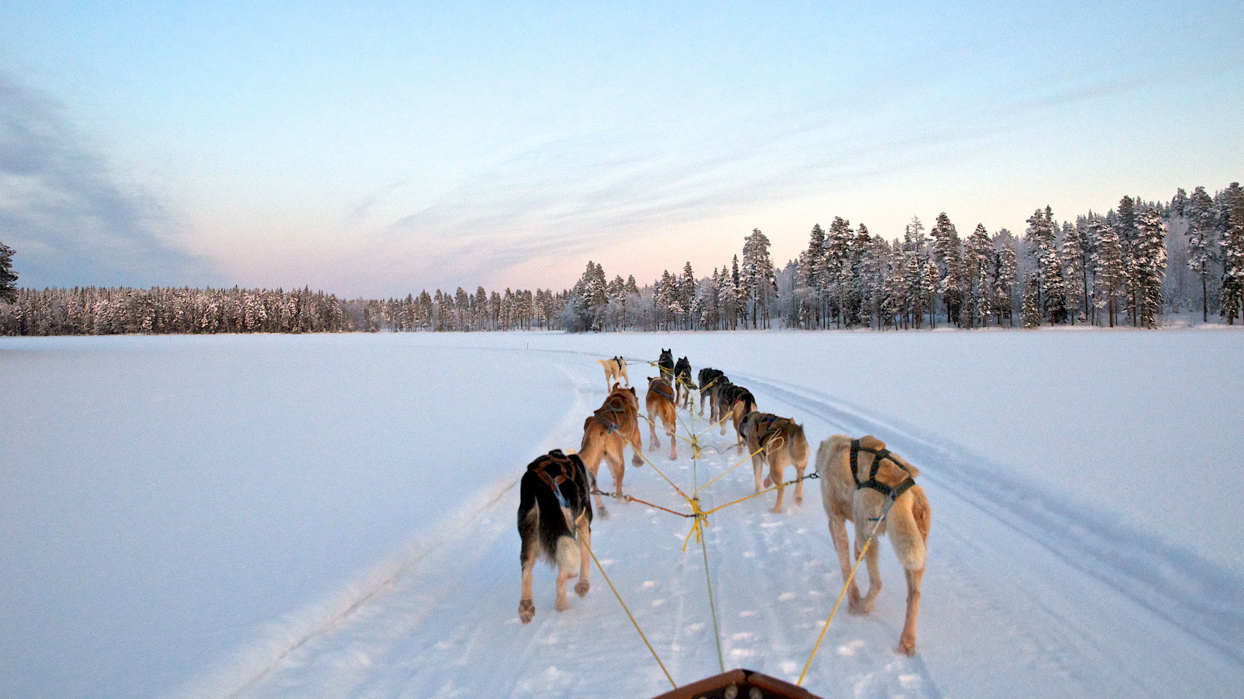 Winterreizen naar Lapland