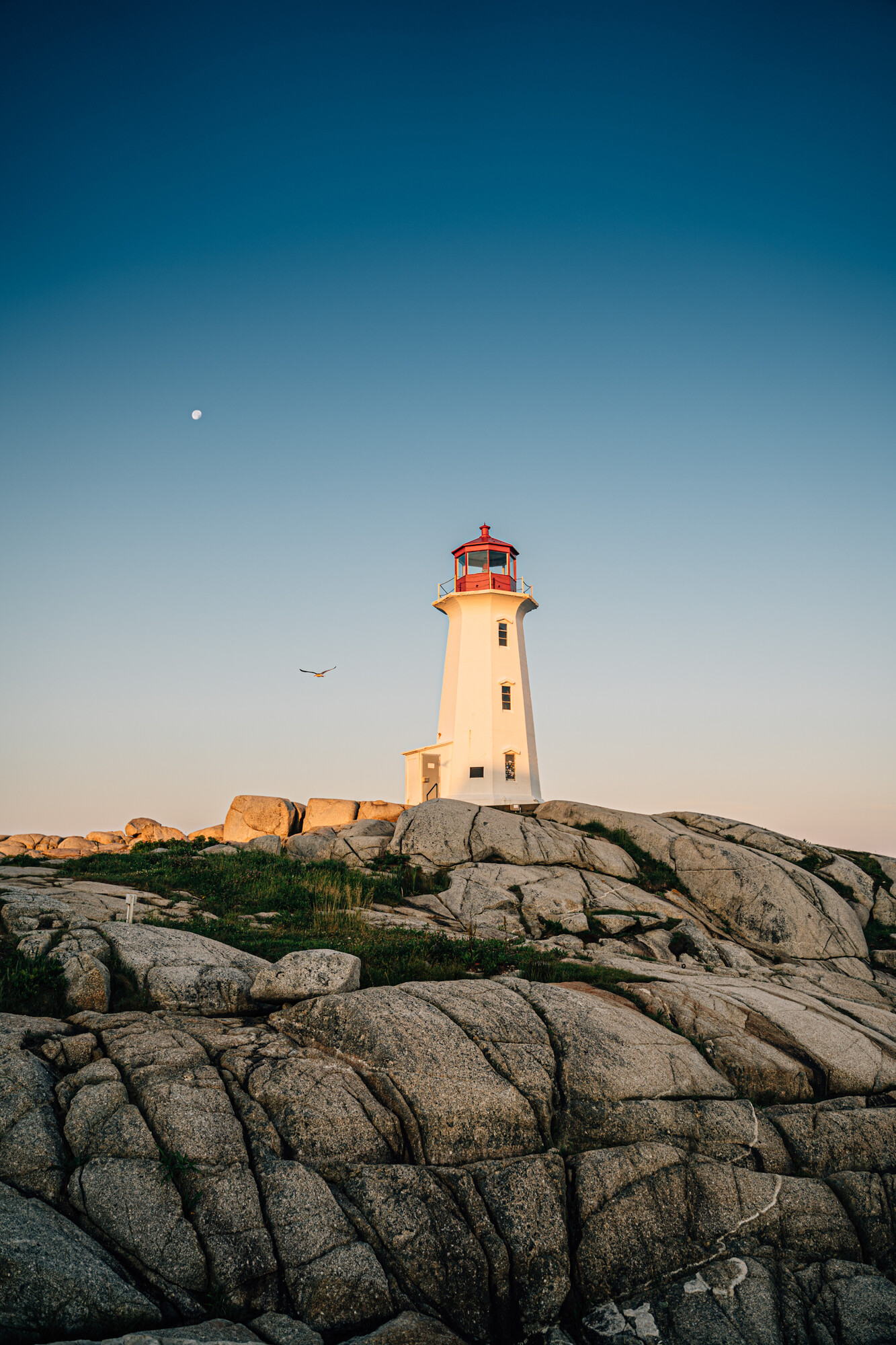 Peggy's cove vuurtoren reizen naar Nova Scotia