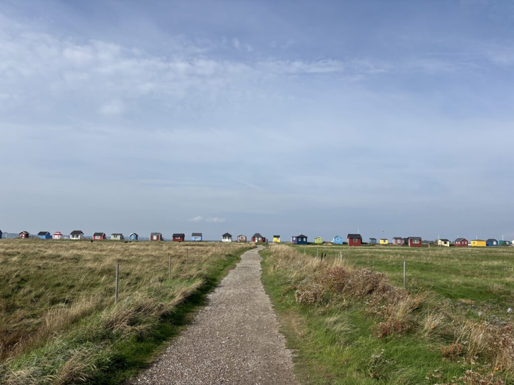 Gekleurde huisjes aan de kust van het Deense eiland Aero in de Zuid-Funense archipel